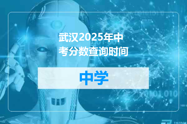 武汉2025年中考分数查询时间