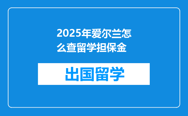 2025年爱尔兰怎么查留学担保金