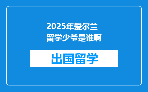 2025年爱尔兰留学少爷是谁啊