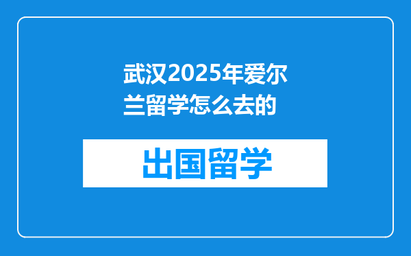 武汉2025年爱尔兰留学怎么去的