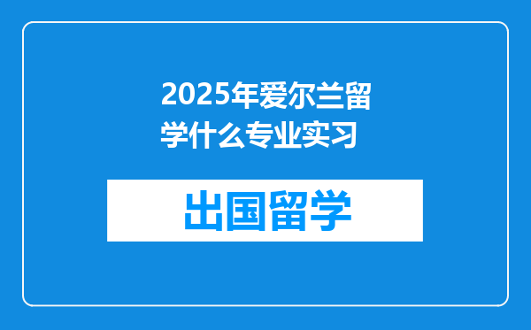 2025年爱尔兰留学什么专业实习