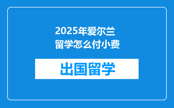 2025年爱尔兰留学怎么付小费