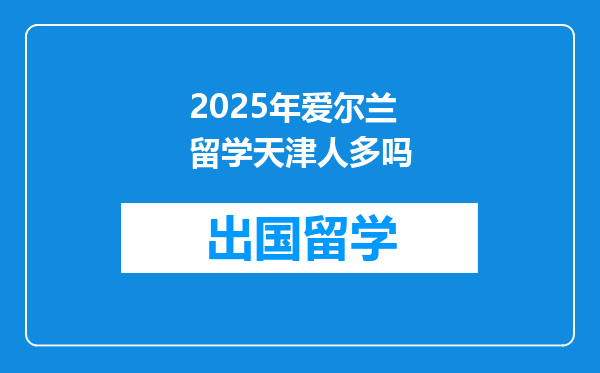 2025年爱尔兰留学天津人多吗