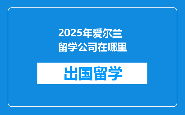 2025年爱尔兰留学公司在哪里