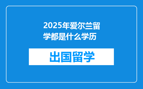 2025年爱尔兰留学都是什么学历