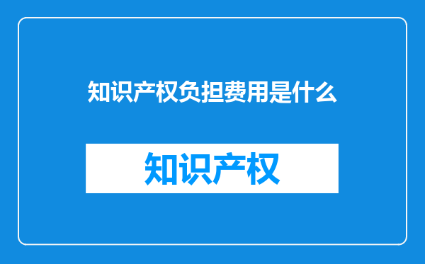 知识产权负担费用是什么