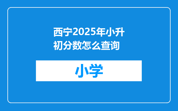 西宁2025年小升初分数怎么查询