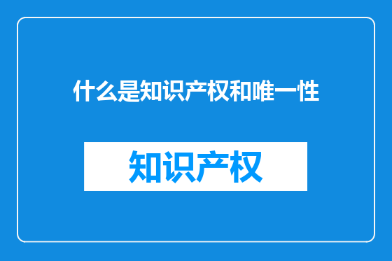什么是知识产权和唯一性
