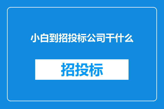 小白到招投标公司干什么
