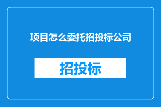 项目怎么委托招投标公司