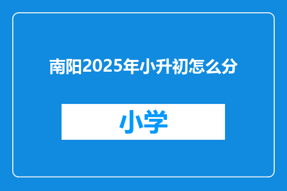 南阳2025年小升初怎么分