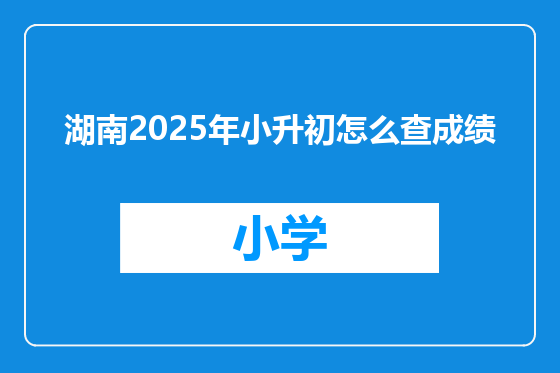 湖南2025年小升初怎么查成绩