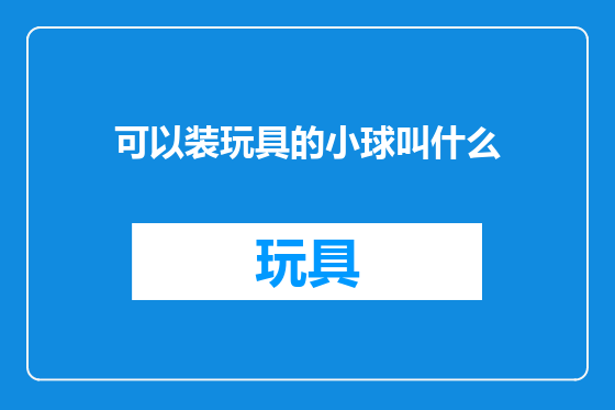 可以装玩具的小球叫什么