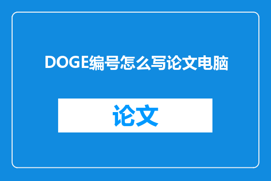 DOGE编号怎么写论文电脑
