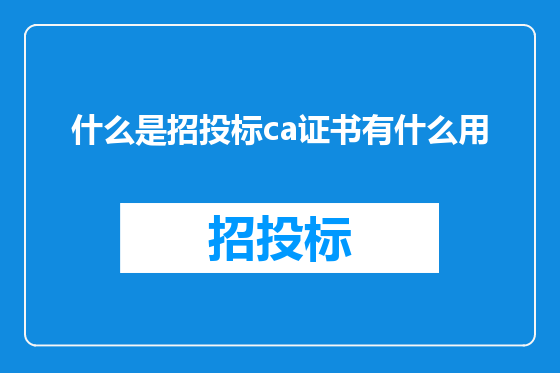 什么是招投标ca证书有什么用