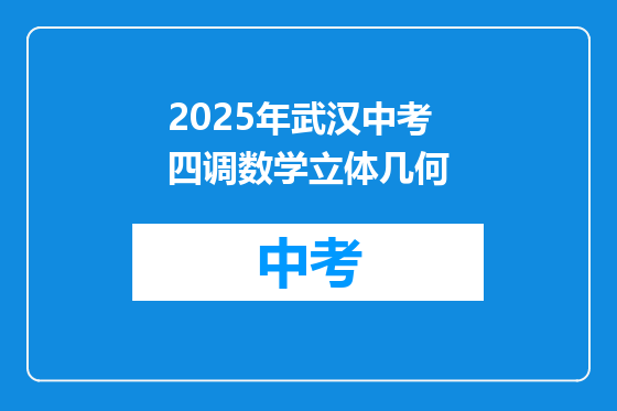 2025年武汉中考四调数学立体几何