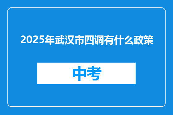 2025年武汉市四调有什么政策