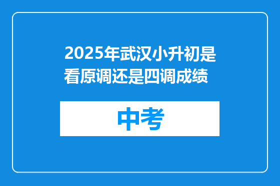 2025年武汉小升初是看原调还是四调成绩