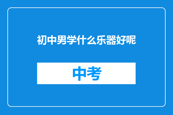 初中男学什么乐器好呢