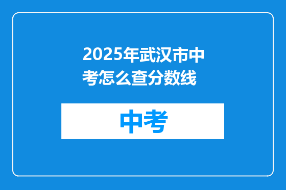 2025年武汉市中考怎么查分数线