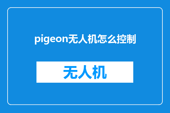 pigeon无人机怎么控制