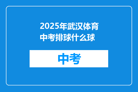 2025年武汉体育中考排球什么球