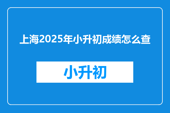 上海2025年小升初成绩怎么查