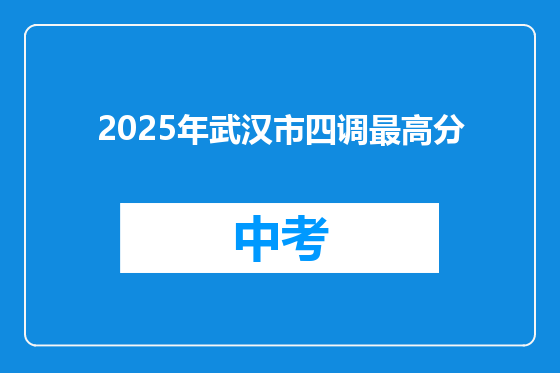 2025年武汉市四调最高分