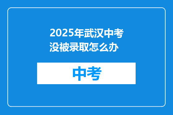 2025年武汉中考没被录取怎么办