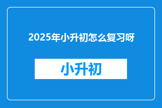2025年小升初怎么复习呀