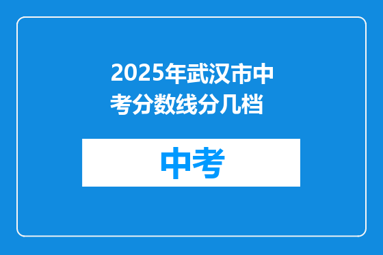 2025年武汉市中考分数线分几档