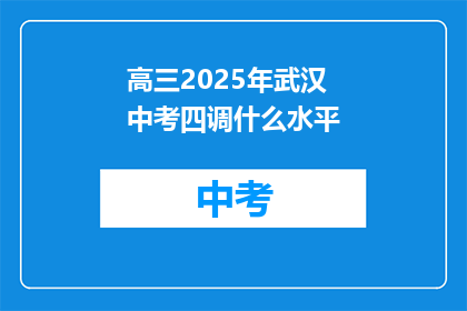 高三2025年武汉中考四调什么水平