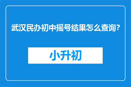 武汉民办初中摇号结果怎么查询？