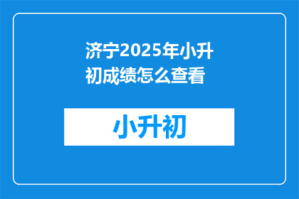 济宁2025年小升初成绩怎么查看