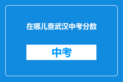 在哪儿查武汉中考分数