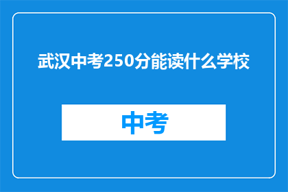 武汉中考250分能读什么学校