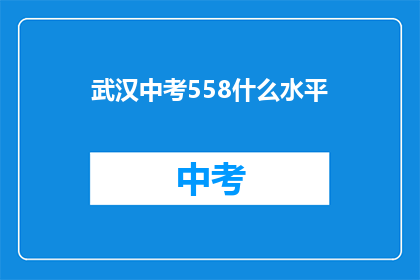 武汉中考558什么水平