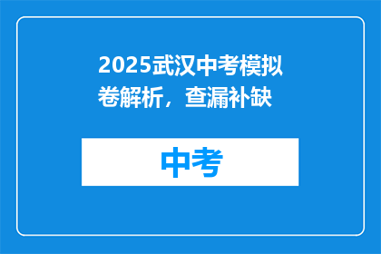 2025武汉中考模拟卷解析，查漏补缺