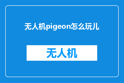 无人机pigeon怎么玩儿