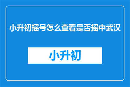 小升初摇号怎么查看是否摇中武汉
