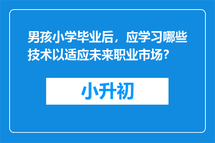 男孩小学毕业后，应学习哪些技术以适应未来职业市场？