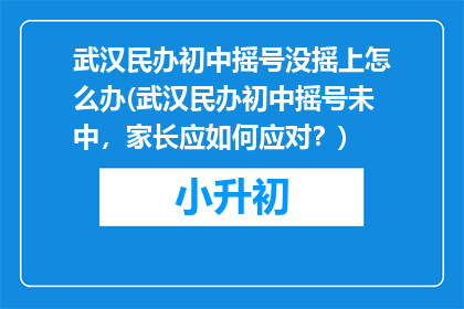 武汉民办初中摇号没摇上怎么办(武汉民办初中摇号未中，家长应如何应对？)