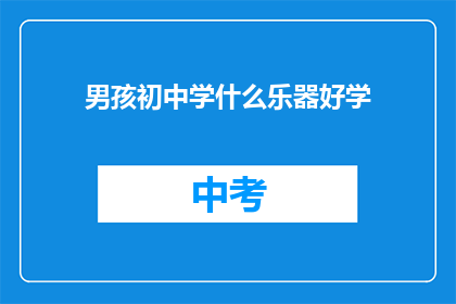 男孩初中学什么乐器好学(男孩初中学什么乐器好学？)