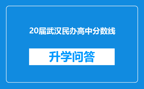 20届武汉民办高中分数线