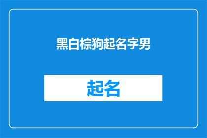 黑白棕狗起名字男(如何为黑白棕狗起一个既独特又富有个性的名字？)