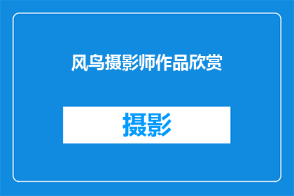 风鸟摄影师作品欣赏(风鸟摄影师作品欣赏：探索自然之美的视觉盛宴)