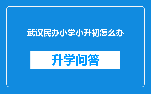武汉民办小学小升初怎么办