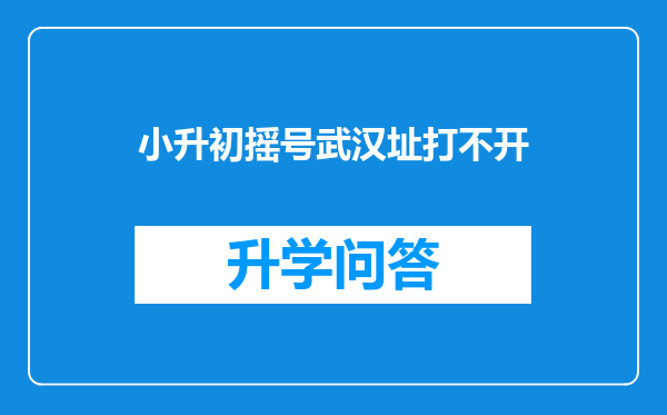 小升初摇号武汉址打不开