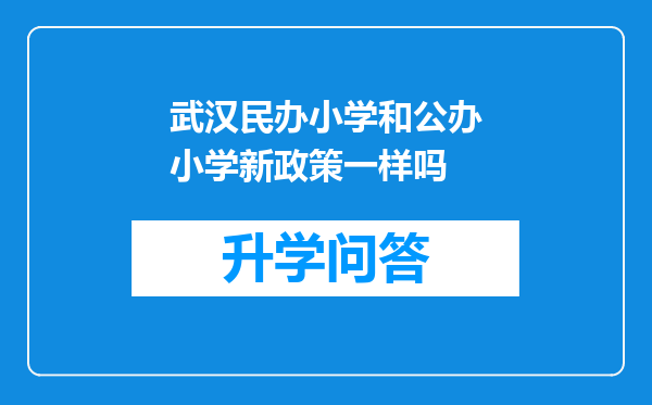 武汉民办小学和公办小学新政策一样吗
