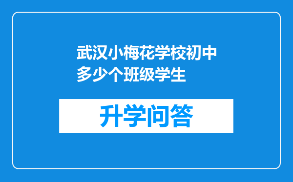 武汉小梅花学校初中多少个班级学生